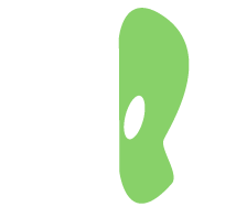 ohr-grün.png